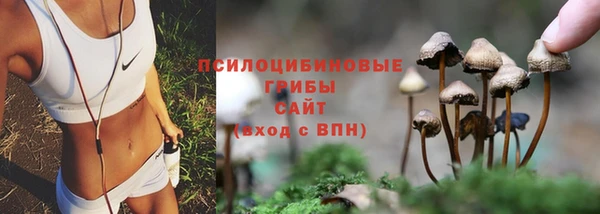 гидропоника Богородицк