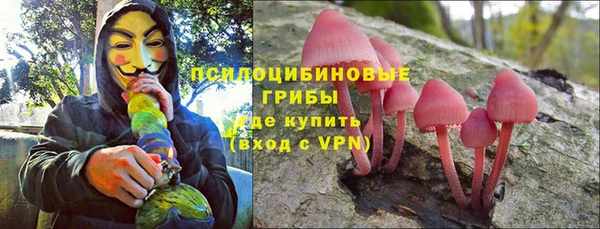 ешки Бугульма