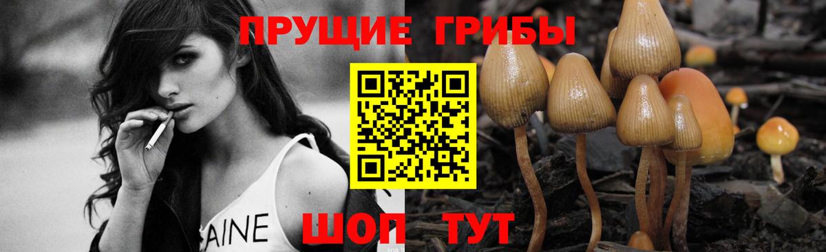 Псилоцибиновые грибы Psilocybe  Вход с VPN  Бузулук 